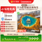 长虹电视75D6S Mini 75英寸电影原画 黑晶屏Pro MiniLED平板电视 电视以旧换新 国家补贴15%