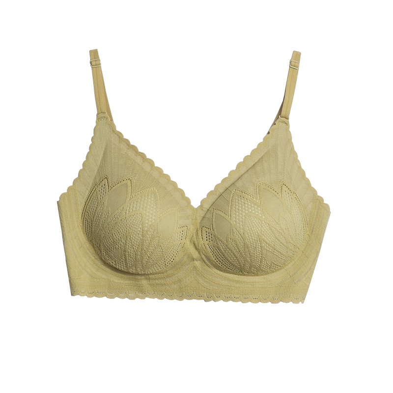 盛世尼曼靴下物无钢圈小胸蕾丝内衣女舒适无痕美背文胸收副乳调整型