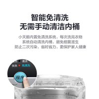 小天鹅(LittleSwan) 8公斤 全自动波轮洗衣机 2级能效 节能低功耗 自清洁 洗脱一体机 TB80V20