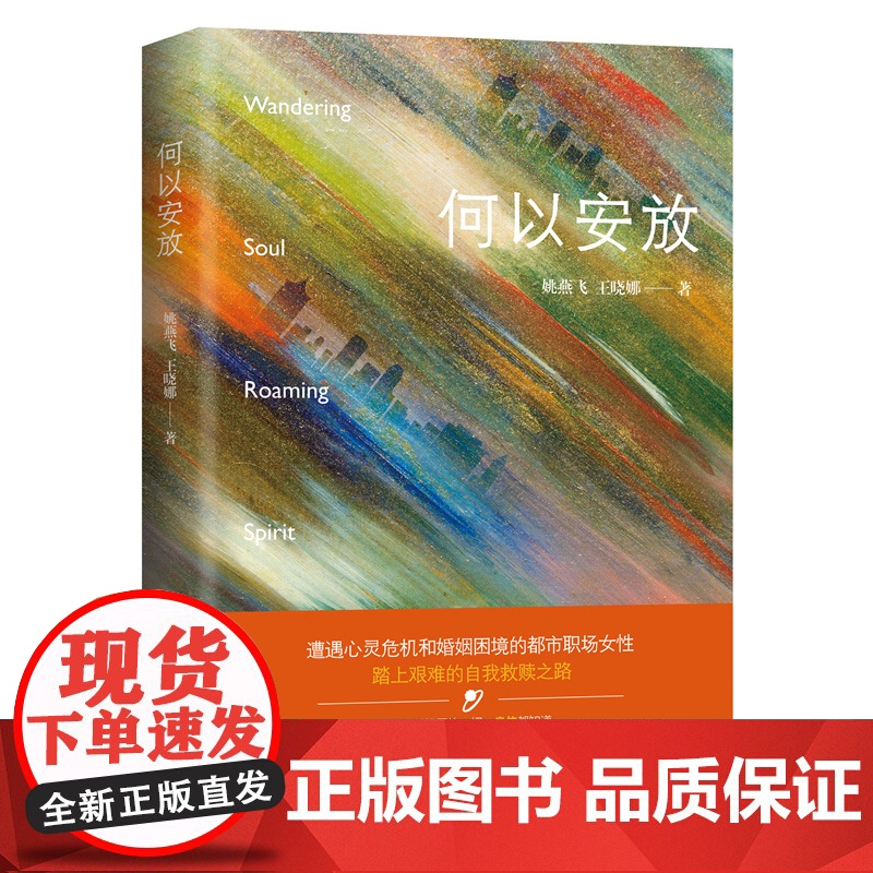何以安放 姚燕飞,王晓娜著 都市女性 自我救赎 情感小说 花城出版社正版书籍高清大图