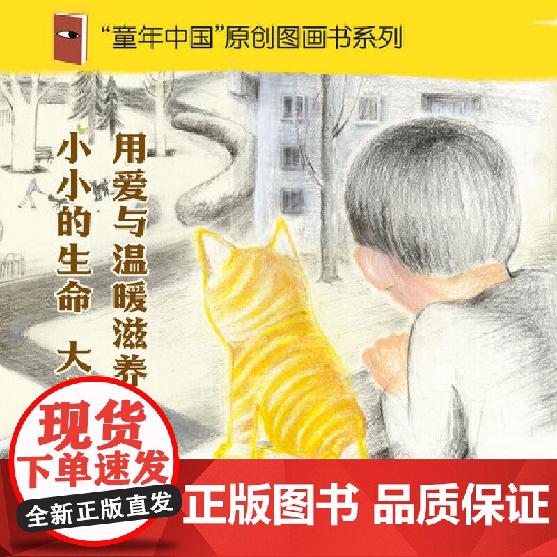 小猫妞妞高清大图