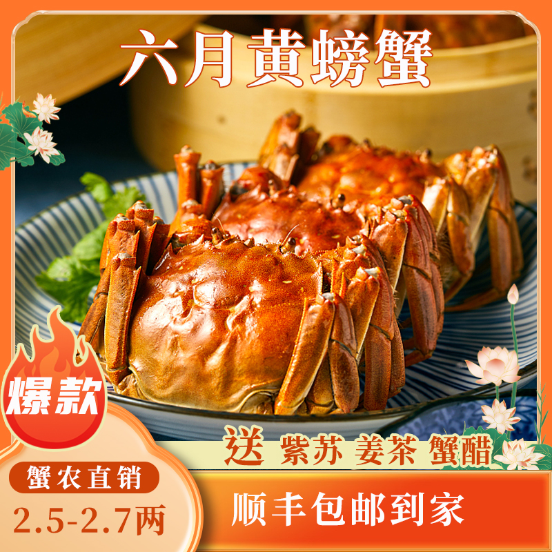 苏州精品大闸蟹鲜活六月黄螃蟹河蟹2.5两10只装公母随机大螃蟹鲜甜满黄直达到家死蟹包赔