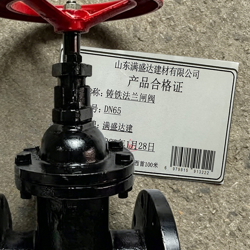 满盛达建 铸铁法兰闸阀 个 DN65个