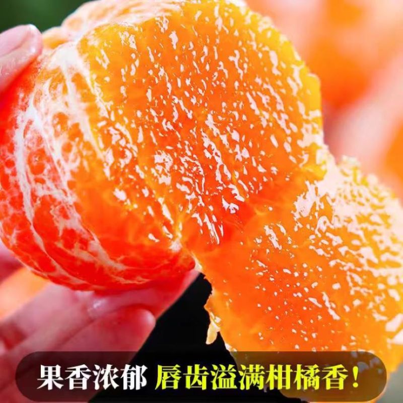 鑫牧盟 沃柑/斤