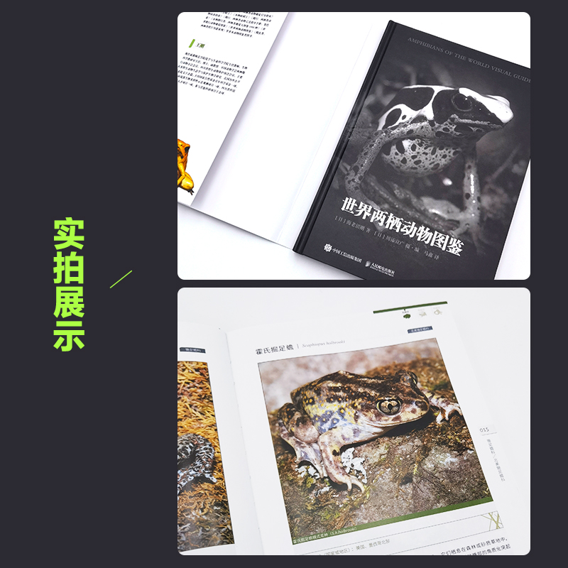 世界两栖动物图鉴