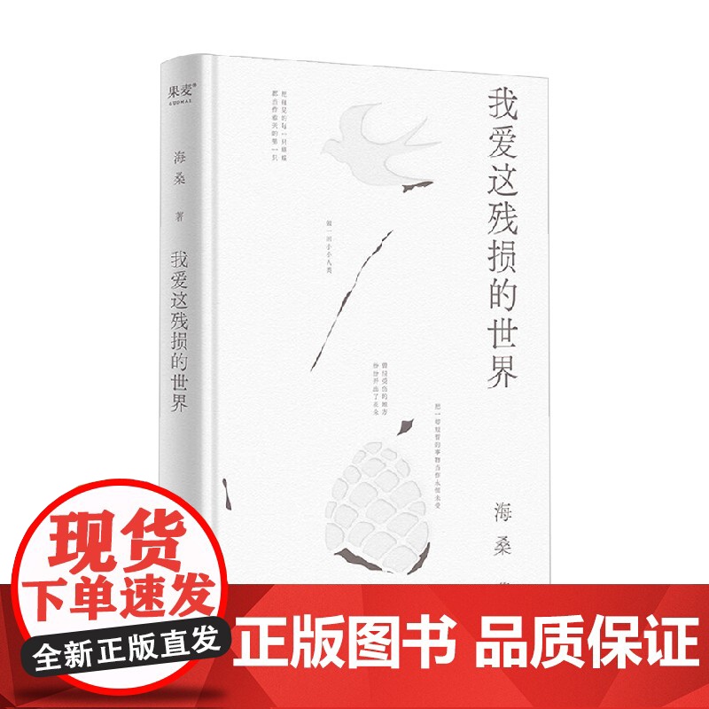 我爱这残损的世界 2023 海桑 著 文学高清大图