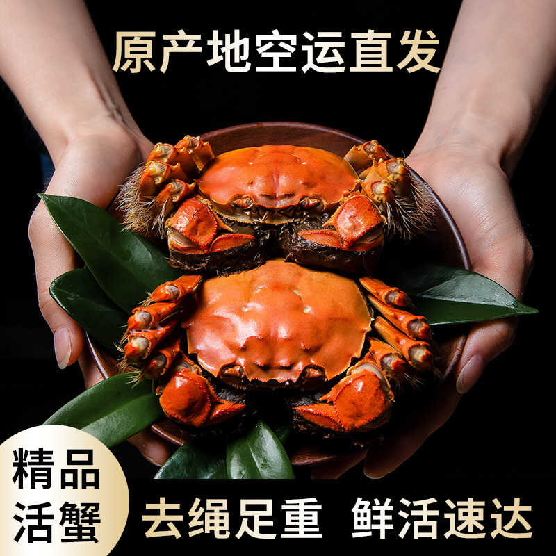 [活蟹]大闸蟹螃蟹3两公2.5两母10只装中秋礼盒 精品活蟹河蟹鲜活直发高清大图