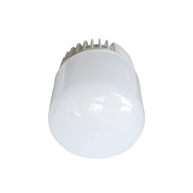 格瑞捷LED灯泡 30W (柱形)Φ90-30W E27 AC165-265V 白 只高清大图