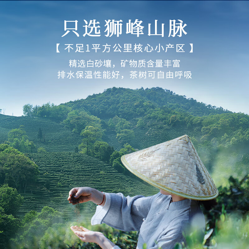 狮峰牌2025年新茶上市 绿茶西湖龙井茶叶大观1号明前特级精品100g礼盒高清大图