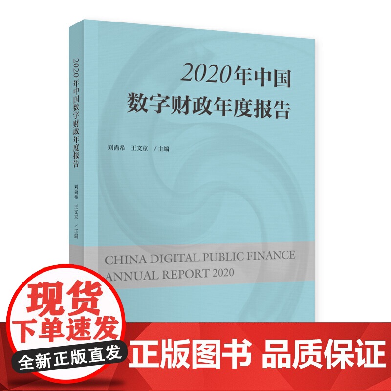 2020年中国数字财政年度报告高清大图