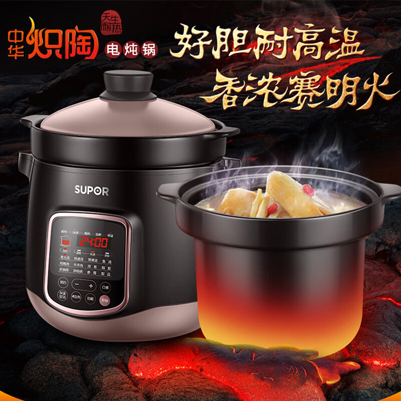 苏泊尔(SUPOR)电炖锅 电炖盅 家用6L煲汤锅煮粥燕窝炖盅多功能锅快炖砂锅炖汤锅专柜同款 DG60YC13