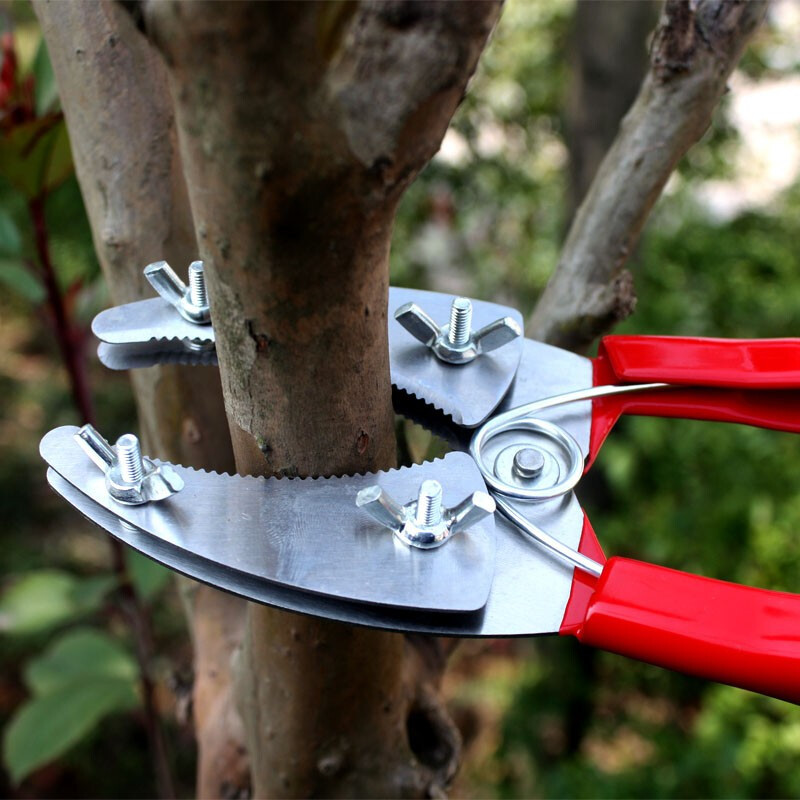 环割剪刀环切刀环形剪葡萄环剥剪环枝剪环割刀果树环剥刀园艺剪刀