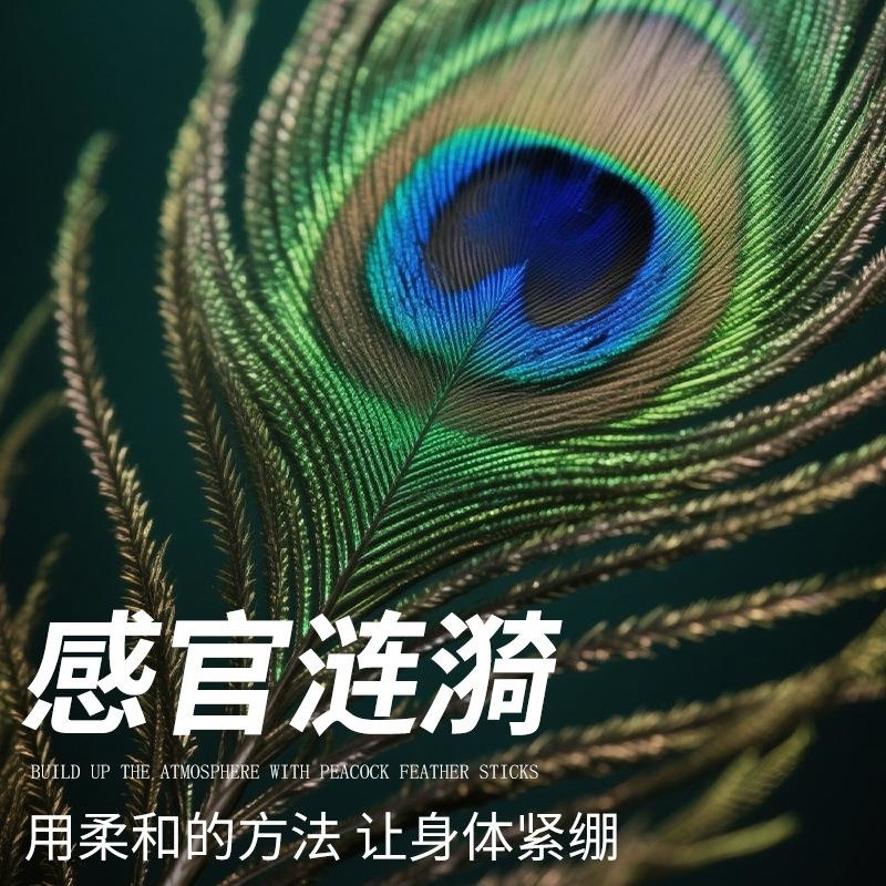 情趣用品sm成年人用品夫妻床上助爱玩具羽毛棒代批发厂家一手货源高清大图