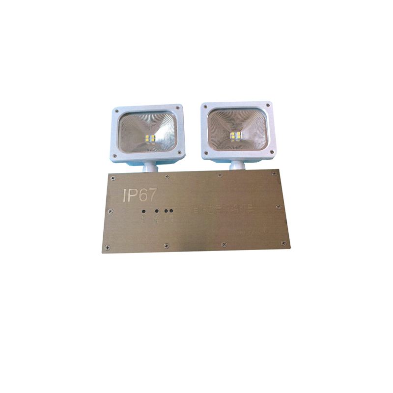 顶火(深圳光明顶)GMD9501-G 应急照明灯具 LED应急灯高清大图