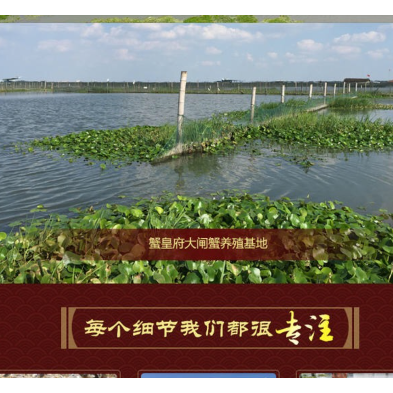 企购优品 蟹皇府尊享1888型大闸蟹卡册