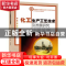正版 化工生产工艺技术及发展研究 张海燕,刘立增,高海丽 中国水