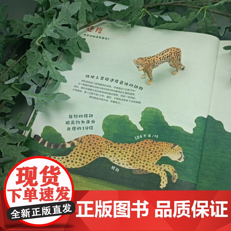 动物特长生 9岁+ 卡特琳娜·维斯特尔 著 一本动物界的精英档案 用趣味类比的方式让你了解神奇的动物王 科普百科高清大图