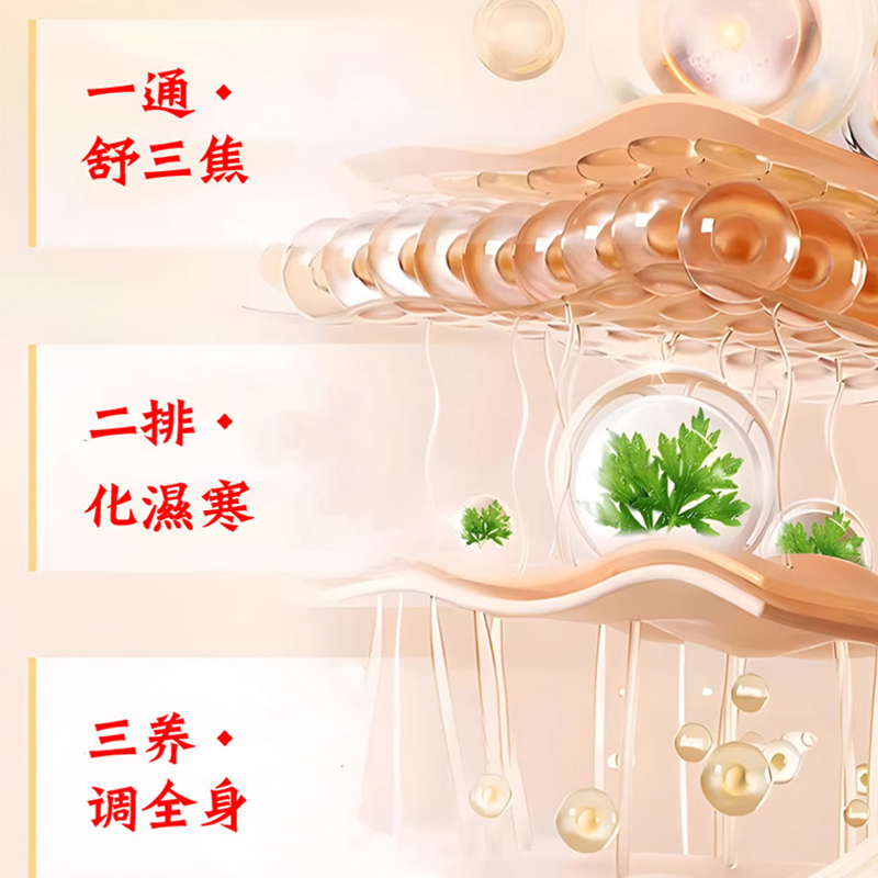 正品同仁堂吴茱萸肉桂贴上热下寒引火下行足贴腰部驱寒涌泉穴祛湿高清大图