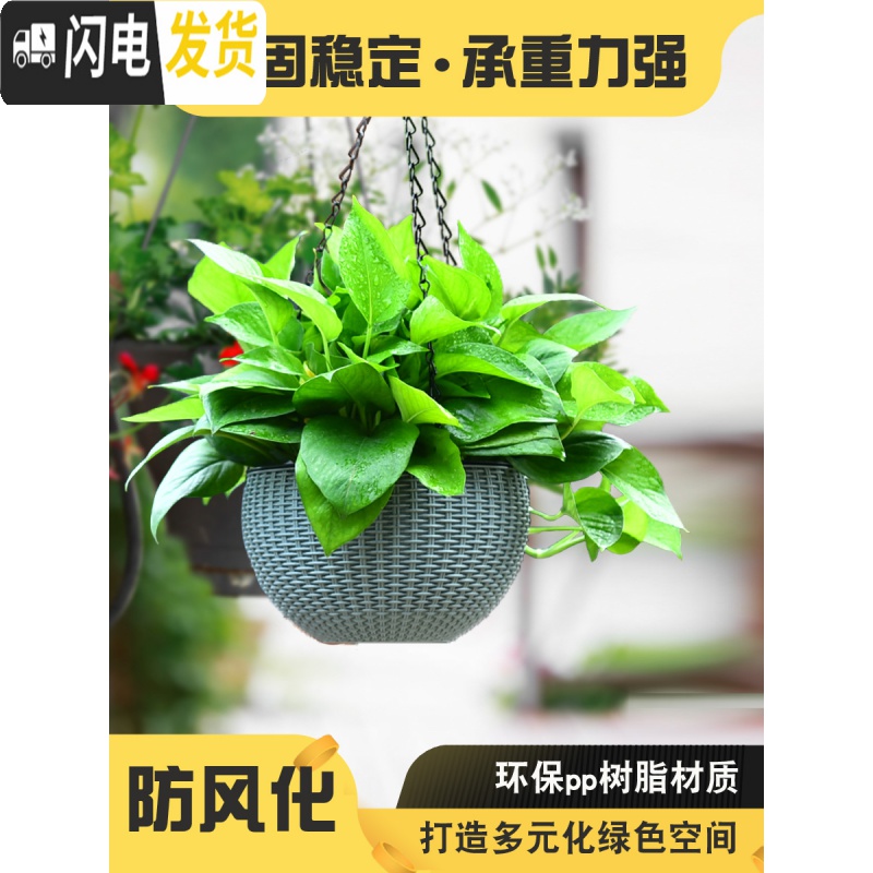 三维工匠仿藤编吊兰花盆悬挂式塑料垂吊篮壁挂创意个性自吸水培绿萝盆 银灰色(带隔水网) 特大花盆容器高清大图