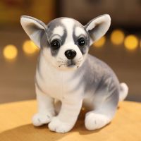 哈士奇(坐版) 20厘米(不叫的) 名犬狗狗公仔仿真小狗毛绒玩具哈士奇吉娃娃八哥斑点狗宠物狗玩偶