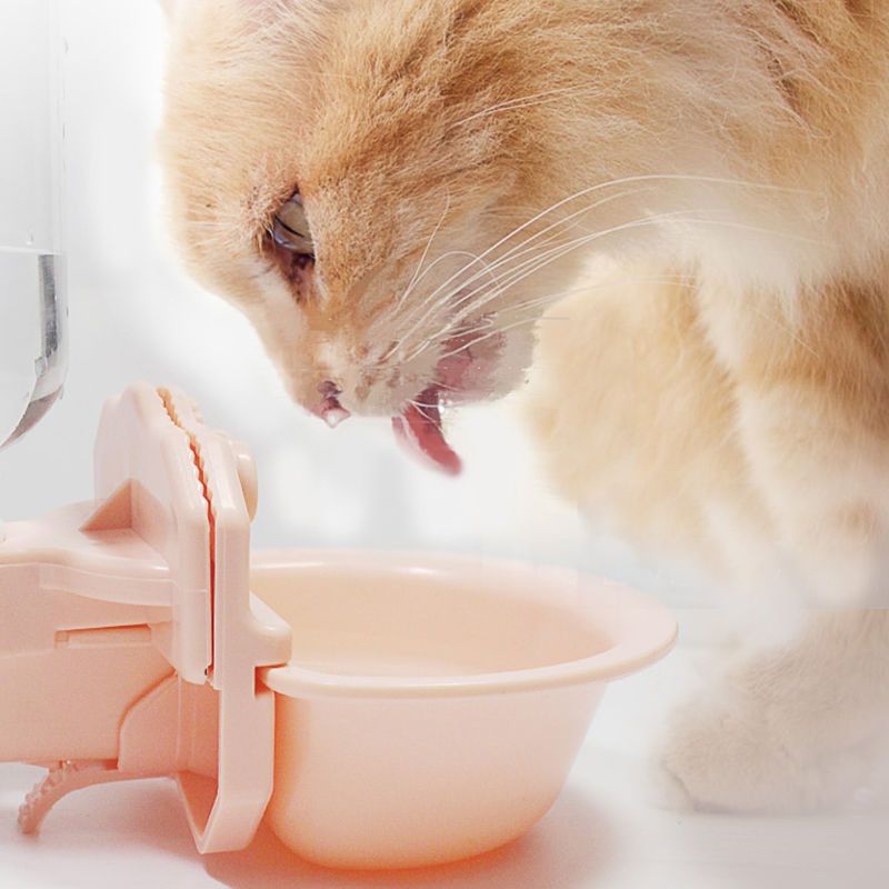 狗饮水器挂式猫咪自动饮水机喂水器宠物饮水器喝水器悬挂式饮水壶 象牙白 悬挂式饮水器