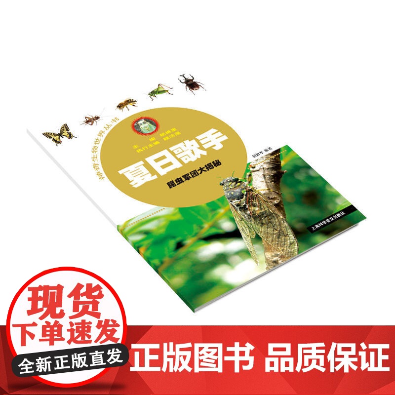 夏日歌手——昆虫军团大揭秘高清大图