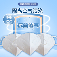 KN95型kou罩防飞沫防尘透气防护工业粉尘雾霾pm2.5男女防护面罩(10支装)