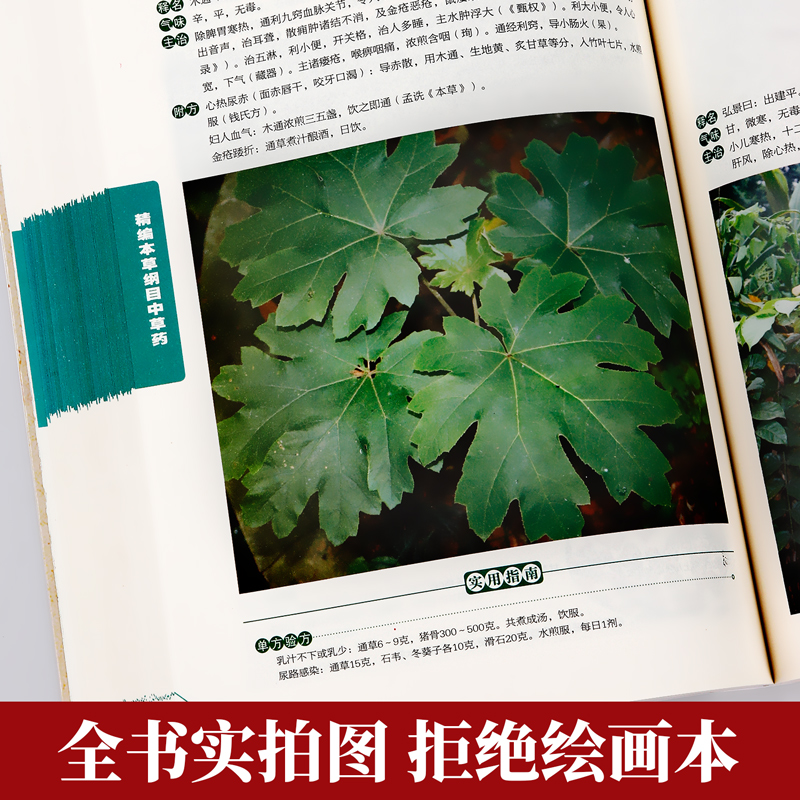 [正版]全书实拍本草纲目精编中草药 李时珍版中草药彩图中医基础理论大全书 原版全套医学黄帝内经中草药材书籍图解中医书籍高清大图