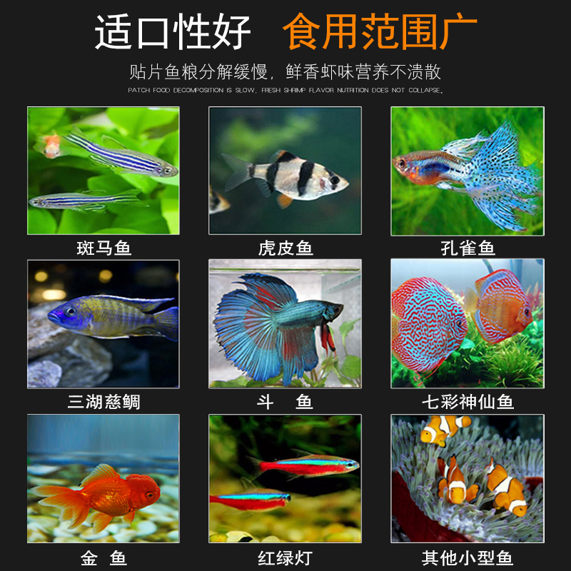 贴片鱼食小型鱼孔雀鱼饲料金鱼灯科热带鱼斗鱼慈鲷神仙鱼粮通用型高清大图