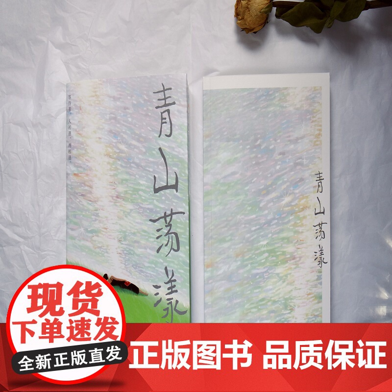 青山荡漾 夏小暖时隔10年的全新文学散步集 随意生活品鉴人生治愈系文学散文书籍现当代文学书高清大图