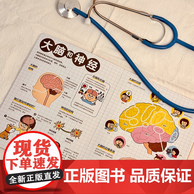 赠听诊器浪花朵朵正版 听诊器听一听身体认知绘本 3-4-5-6岁儿童身体认知绘本婴幼儿启蒙认知早教绘本[日]林有美 森之高清大图