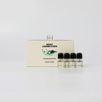 野兽派 熊猫噗噗薄荷新生车载办公香薰替换装精油 3ml*4汽车香水生日礼物