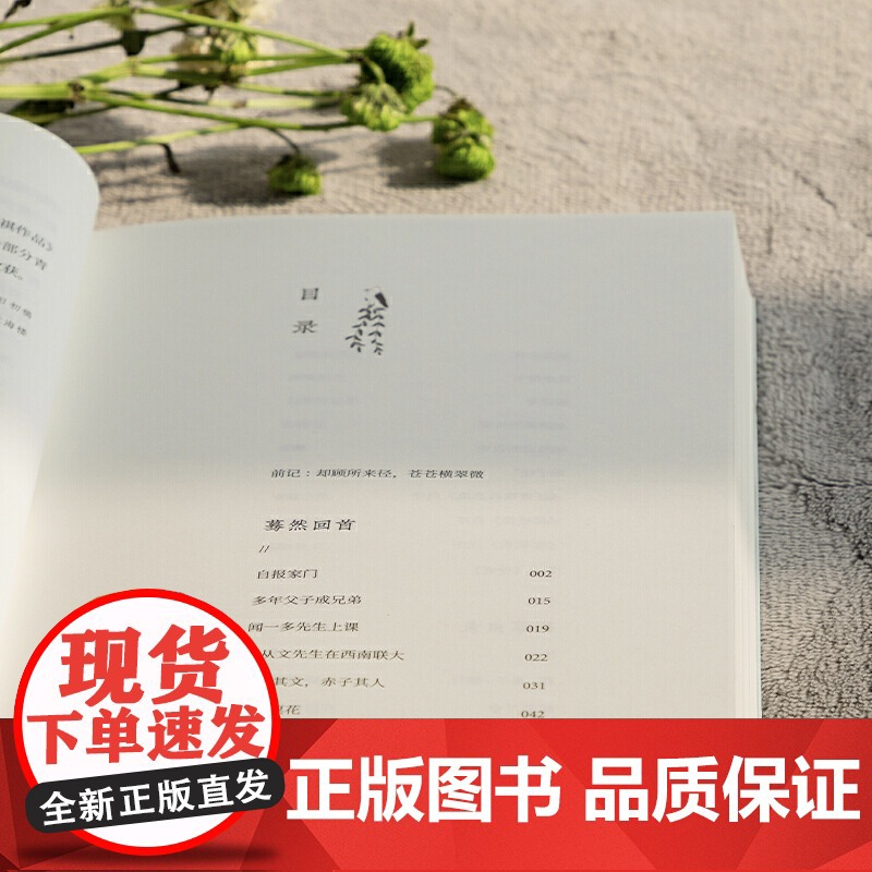 翠湖心影:汪曾祺散文 配乐朗诵版 (青少年读本) 汪曾祺 天津人民出版社 正版书籍高清大图