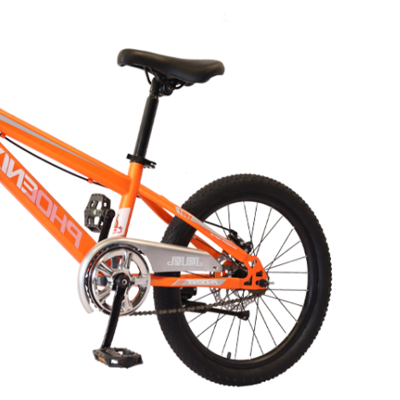 凤凰(PHOENIX) 20寸学生自行车-贝塔 TT-20 (辐条轮)橘高清大图