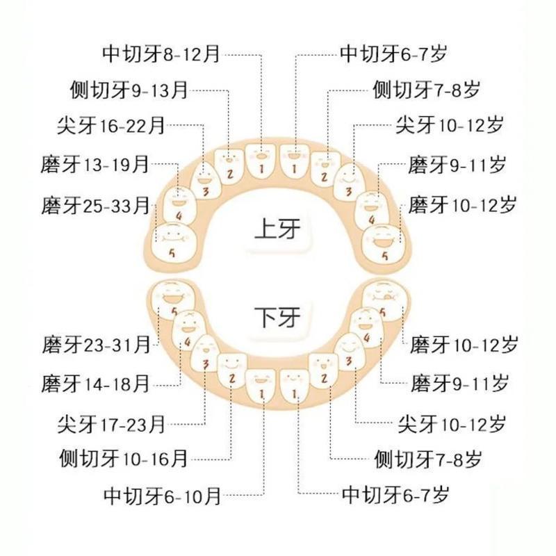 乳牙纪念盒儿童存放乳牙盒男孩女孩宝宝装掉牙屋保存收纳藏的盒子乳牙