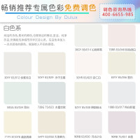 多乐士(Dulux)致悦竹炭抗甲醛净味5合1 油漆涂料 内墙乳胶漆 墙面漆A8146+A749套装15L