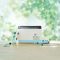 任天堂(Nintendo)switch lite switch续航加强版 便携掌上主机 日版/欧版蓝绿限定机游戏机
