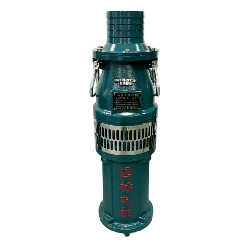 卡西斯顿 油浸式潜水泵 QY100-4.5-2.2 台高清大图