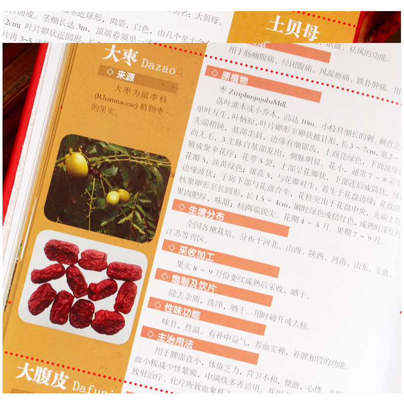 [正版]中药材及饮片 彩图印刷 精装 中华药饮经典养生保健全书 家庭养生的背图谱 中国药典中药材及饮片彩色图鉴全彩版图书