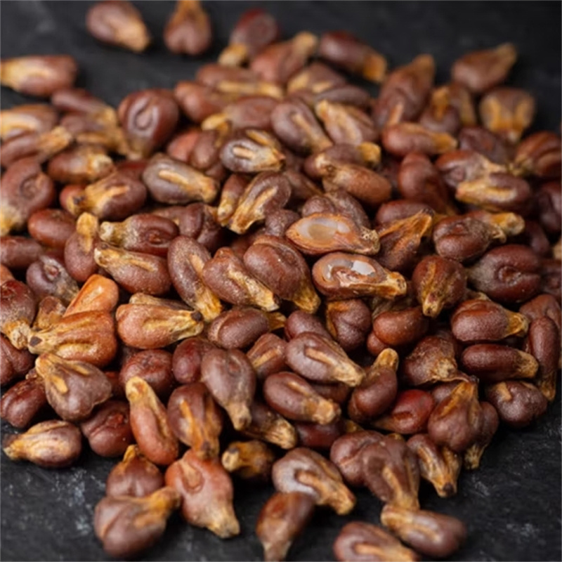 甄选葡萄籽100克新货泡水喝泡茶正品干货无硫另售金丝皇菊白菊花高清大图