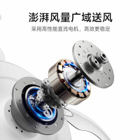 米家(MIJIA)小米米家风扇灯36英寸隐形卧室全光谱Ra97睡眠模式自然风8232
