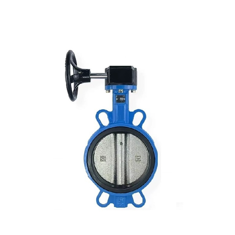 伟鹏双兴 涡轮铸铁对夹式蝶阀 DN300乙丙/304阀板 台