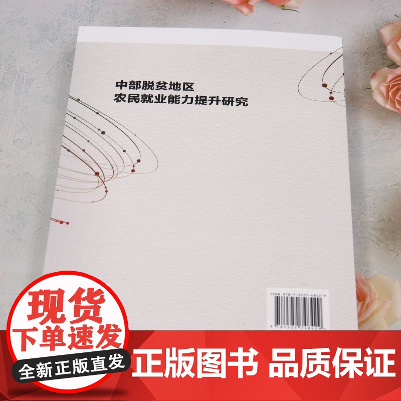 中部脱贫地区农民就业能力提升研究高清大图