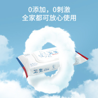 蓝帆 湿厕纸除菌液体湿擦卫生湿巾湿纸巾洁厕40片