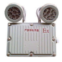 LHDQ 领航电器 LHB1113-2×1W 防爆应急灯 冷白 IP65