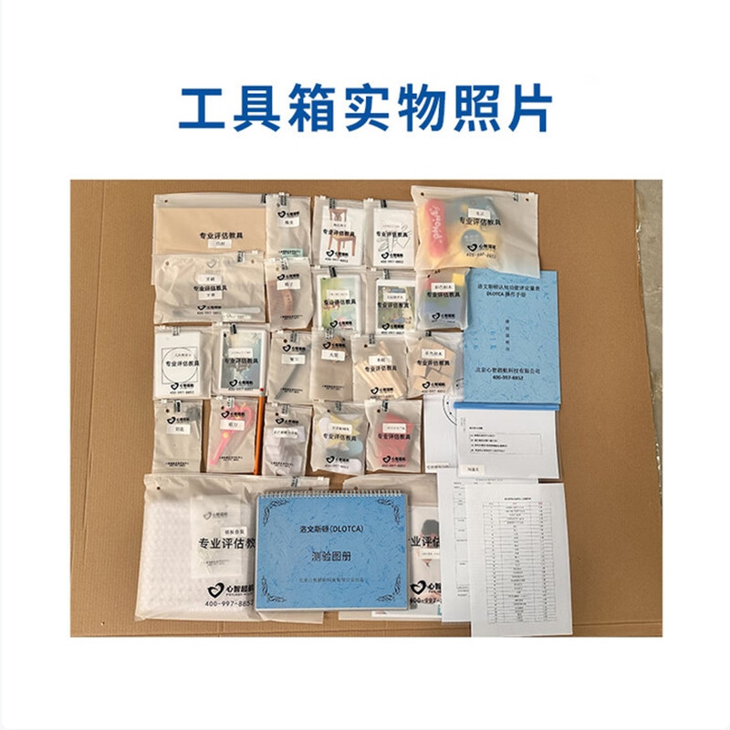 尚智慧童SZHT-LOTCA01 洛文斯顿（LOTCA）认知评估工具箱心理解压玩具高清大图