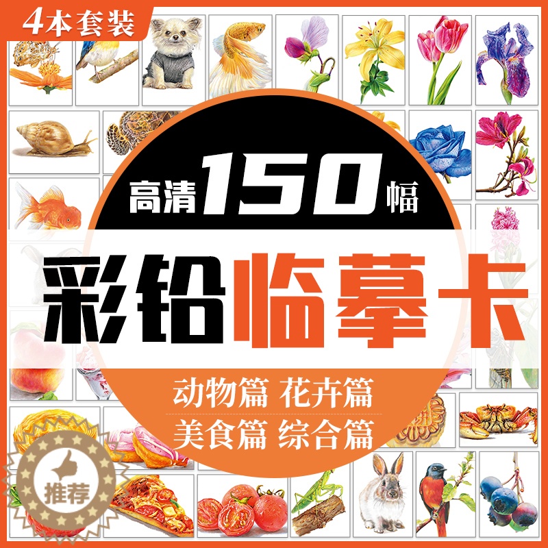 [醉染正版]彩铅临摹卡花卉篇+动物篇+美食篇+综合篇四册 一线美誉步骤对应视频教学美术绘画卡片兴趣高清原创彩铅美术临摹学高清大图