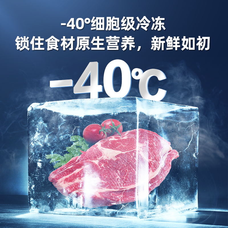 香雪海冰柜家用小型大容量减霜商用超低温全冷冻深冷速冻柜一级能效零下40度 160升高清大图