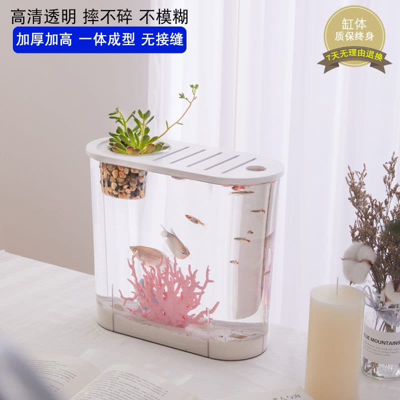 新款透明塑料鱼缸透明仿玻璃客厅中小型金鱼缸乌龟缸桌面观赏缸图片