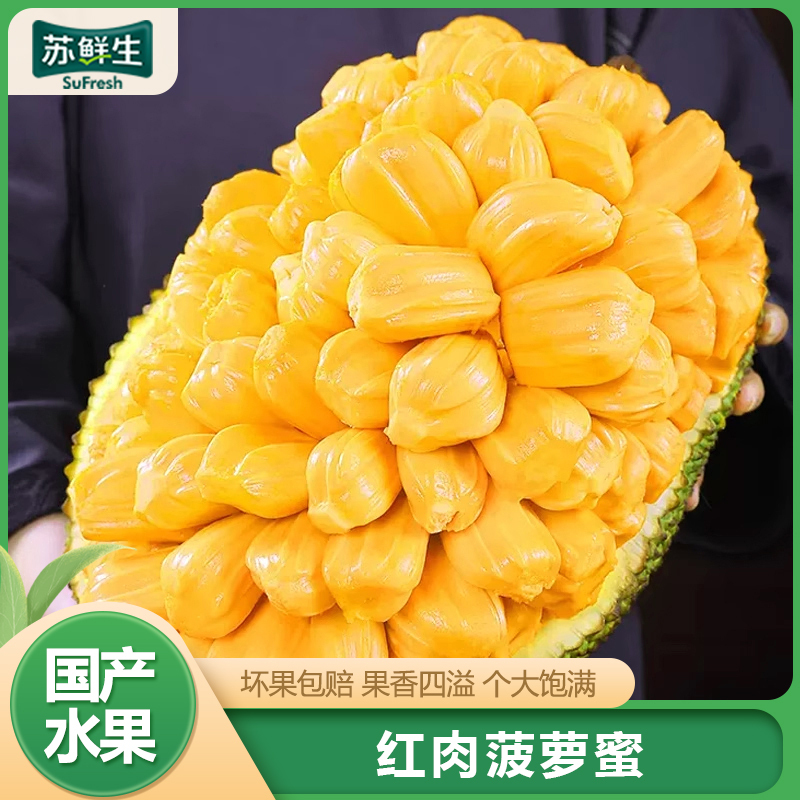 【苏鲜生】海南红肉菠萝蜜 新鲜水果 香甜可口 1个 净重14-16斤装 西沛水果